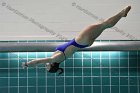 Swimming & Diving vs RWU  Swimming & Diving vs Roger Williams University. - Photo by Keith Nordstrom : Wheaton, Swimming